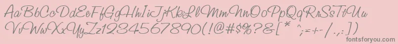 StudioscriptcttRegular-Schriftart – Graue Schriften auf rosa Hintergrund