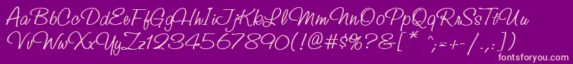 StudioscriptcttRegular Font – Pink Fonts on Purple Background