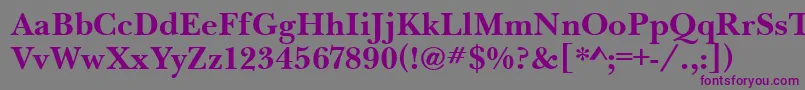 BaskervilleHandcutBold Font – Purple Fonts on Gray Background