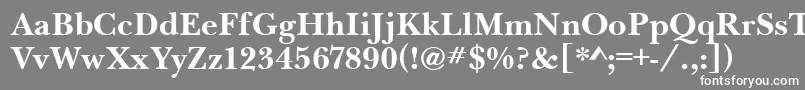 フォントBaskervilleHandcutBold – 灰色の背景に白い文字