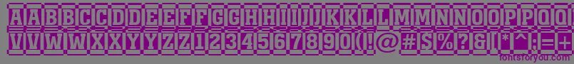 フォントAMonumentottldccm – 紫色のフォント、灰色の背景