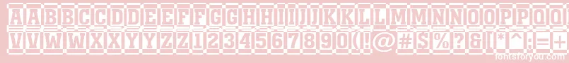 AMonumentottldccm Font – White Fonts on Pink Background