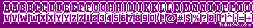 AMonumentottldccm Font – White Fonts on Purple Background