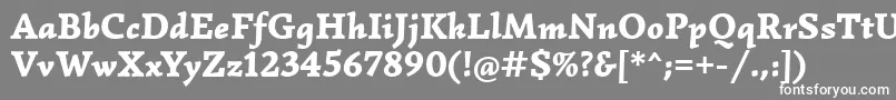 SimonettaBlackitalic Font – White Fonts on Gray Background