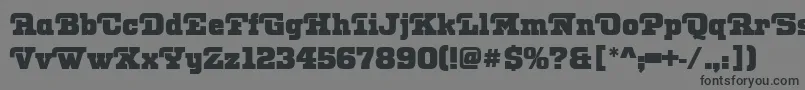 フォントOtisPosterRegular – 黒い文字の灰色の背景