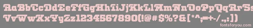 OtisPosterRegular Font – Pink Fonts on Gray Background
