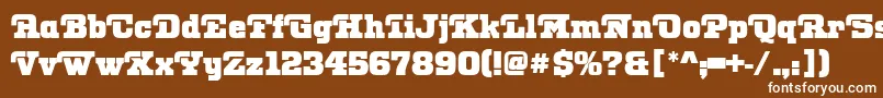 OtisPosterRegular Font – White Fonts on Brown Background