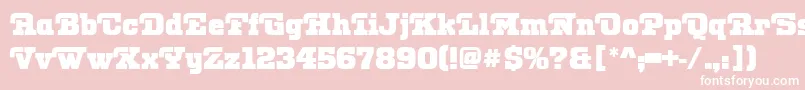OtisPosterRegular Font – White Fonts on Pink Background