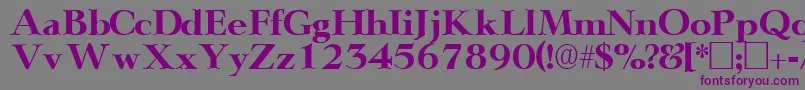 TeronodisplaysskRegular Font – Purple Fonts on Gray Background