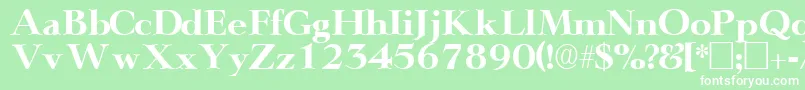 TeronodisplaysskRegular Font – White Fonts on Green Background