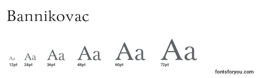 Größen der Schriftart Bannikovac