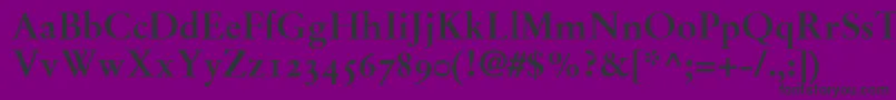 StempelGaramondBoldOldstyleFigures Font – Black Fonts on Purple Background