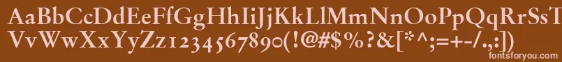 StempelGaramondBoldOldstyleFigures Font – Pink Fonts on Brown Background