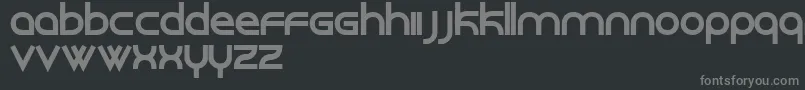 フォントRoundabout – 黒い背景に灰色の文字