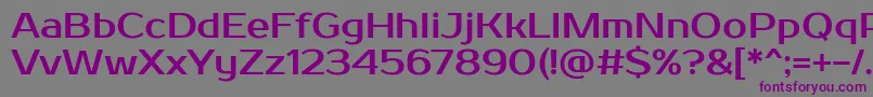 フォントProsto – 紫色のフォント、灰色の背景