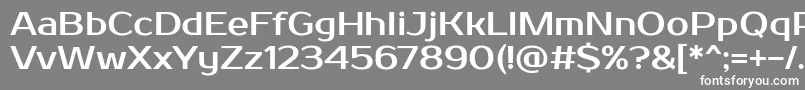 フォントProsto – 灰色の背景に白い文字