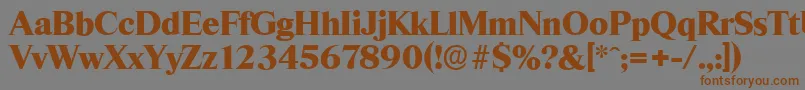 フォントThamesserialHeavyRegular – 茶色の文字が灰色の背景にあります。
