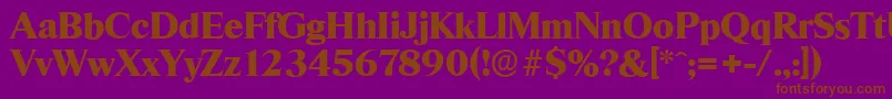 ThamesserialHeavyRegular Font – Brown Fonts on Purple Background