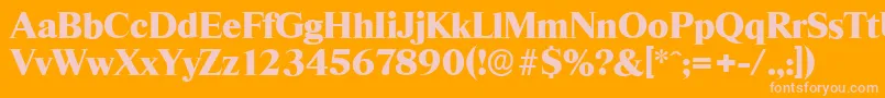 ThamesserialHeavyRegular Font – Pink Fonts on Orange Background