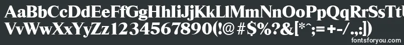 ThamesserialHeavyRegular Font – White Fonts