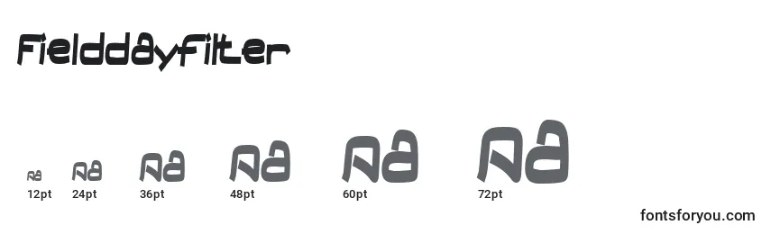 Fielddayfilter Font Sizes