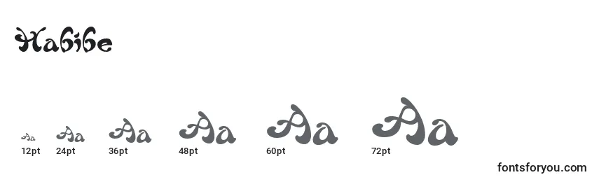 Размеры шрифта Habibe