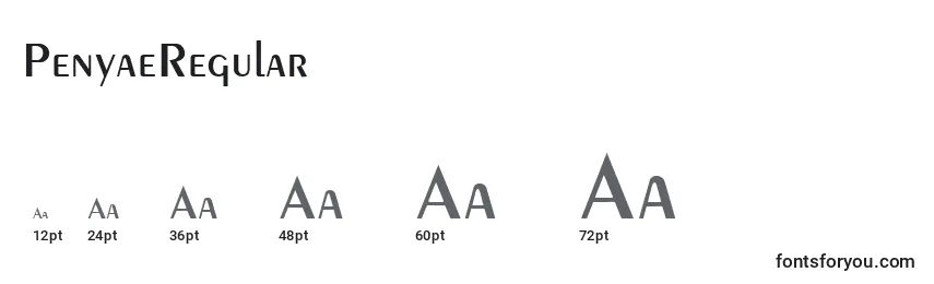 Размеры шрифта PenyaeRegular
