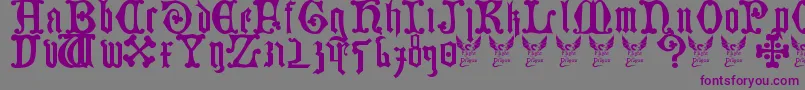 GermanBlackletters15thC Font – Purple Fonts on Gray Background