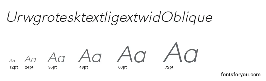 Размеры шрифта UrwgrotesktextligextwidOblique