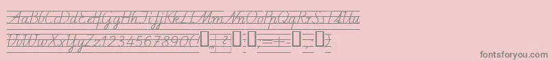 Schulschriftcl4 Font – Gray Fonts on Pink Background