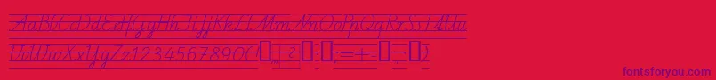 Schulschriftcl4 Font – Purple Fonts on Red Background