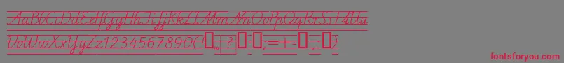 Schulschriftcl4 Font – Red Fonts on Gray Background