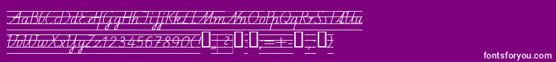 Schulschriftcl4-fontti – valkoiset fontit violetilla taustalla