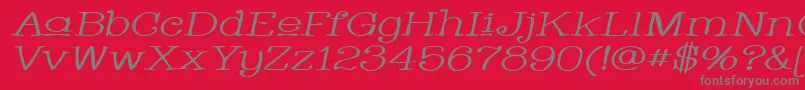 WhackadooUpperWideItalic Font – Gray Fonts on Red Background