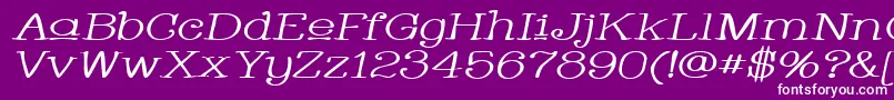 WhackadooUpperWideItalic Font – White Fonts on Purple Background