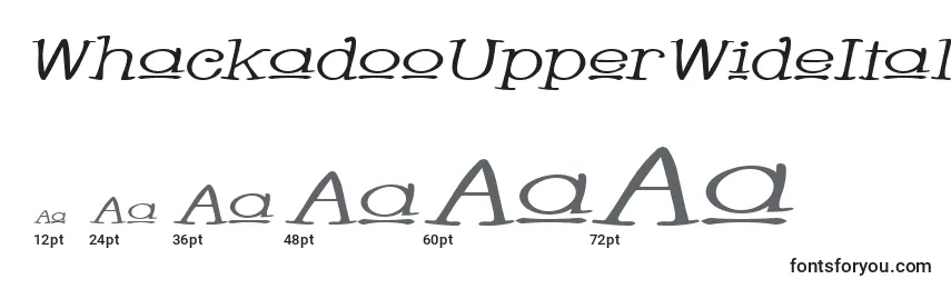 WhackadooUpperWideItalic Font Sizes