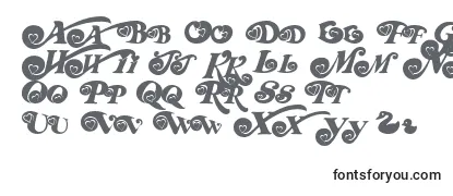 Review of the Rdhoney ffy Font