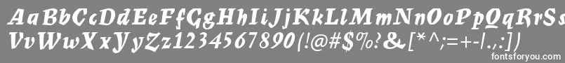 フォントMercuriusmtstdBoldscript – 灰色の背景に白い文字