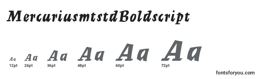 Размеры шрифта MercuriusmtstdBoldscript