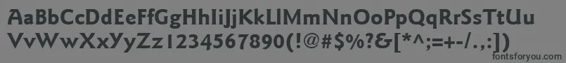 ItcGoudySansLtBold Font – Black Fonts on Gray Background