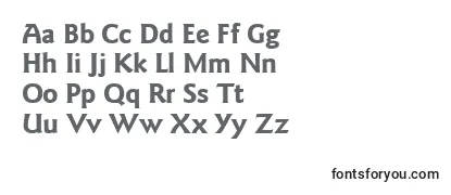 Review of the ItcGoudySansLtBold Font