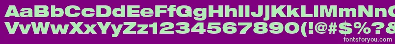 HelveticaLt93BlackExtended-Schriftart – Grüne Schriften auf violettem Hintergrund