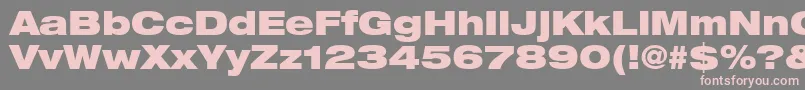 フォントHelveticaLt93BlackExtended – 灰色の背景にピンクのフォント