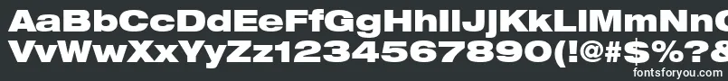 Czcionka HelveticaLt93BlackExtended – białe czcionki na czarnym tle
