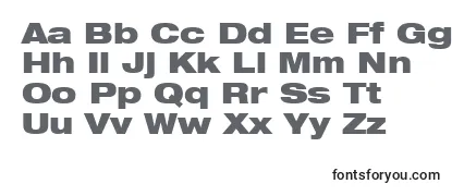 HelveticaLt93BlackExtended フォントのレビュー