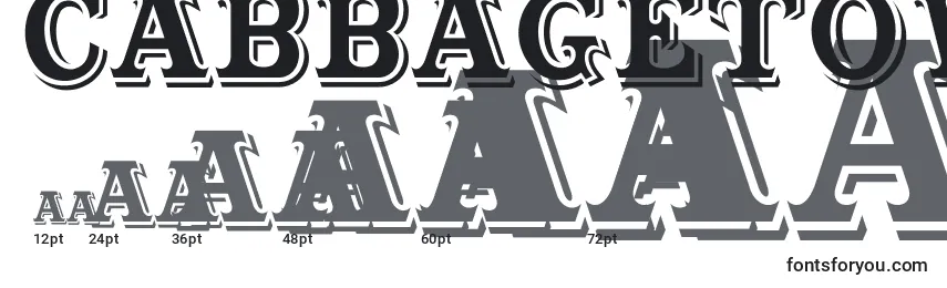 Größen der Schriftart Cabbagetown