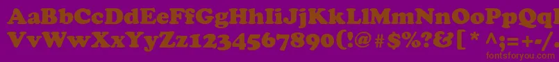 CooperRomanRoman-Schriftart – Braune Schriften auf violettem Hintergrund