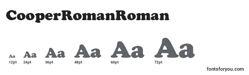 Размеры шрифта CooperRomanRoman