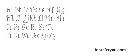 Обзор шрифта Elicitssk