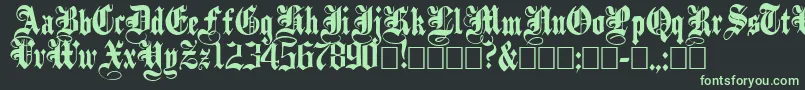 PlainblackNormal Font – Green Fonts on Black Background